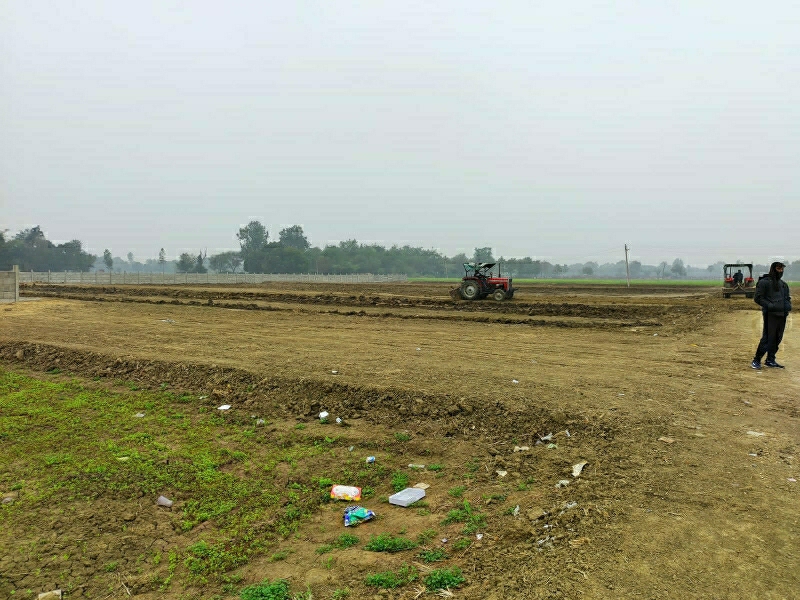 Plot For Resale in Mohanlalganj Lucknow  6573595