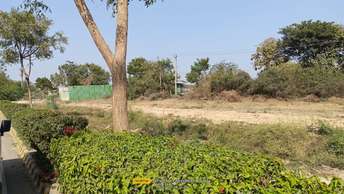 Commercial Land 3600 Sq.Yd. For Resale In Vaishnodevi Circle Ahmedabad 6573639