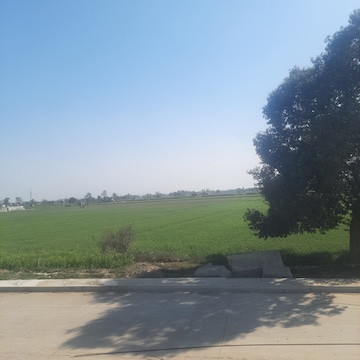 Commercial Land 4 Acre For Resale in Murthal Sonipat  6573658