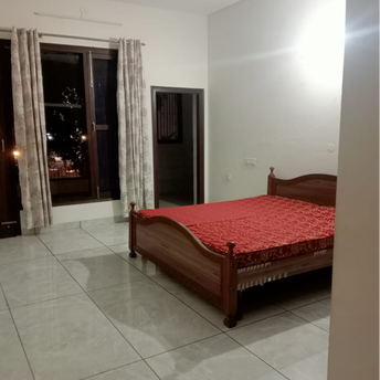 2 BHK Apartment For Rent in Sector 33 Chandigarh 6573959