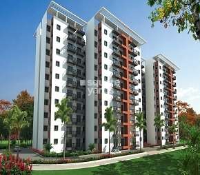 3 BHK Apartment For Rent in ACTS Arcadia Sarjapur Bangalore 6574051