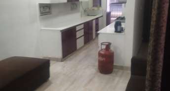 2 BHK Apartment For Rent in Bansal Halwasia UTSAV Indira Nagar Lucknow 6574283
