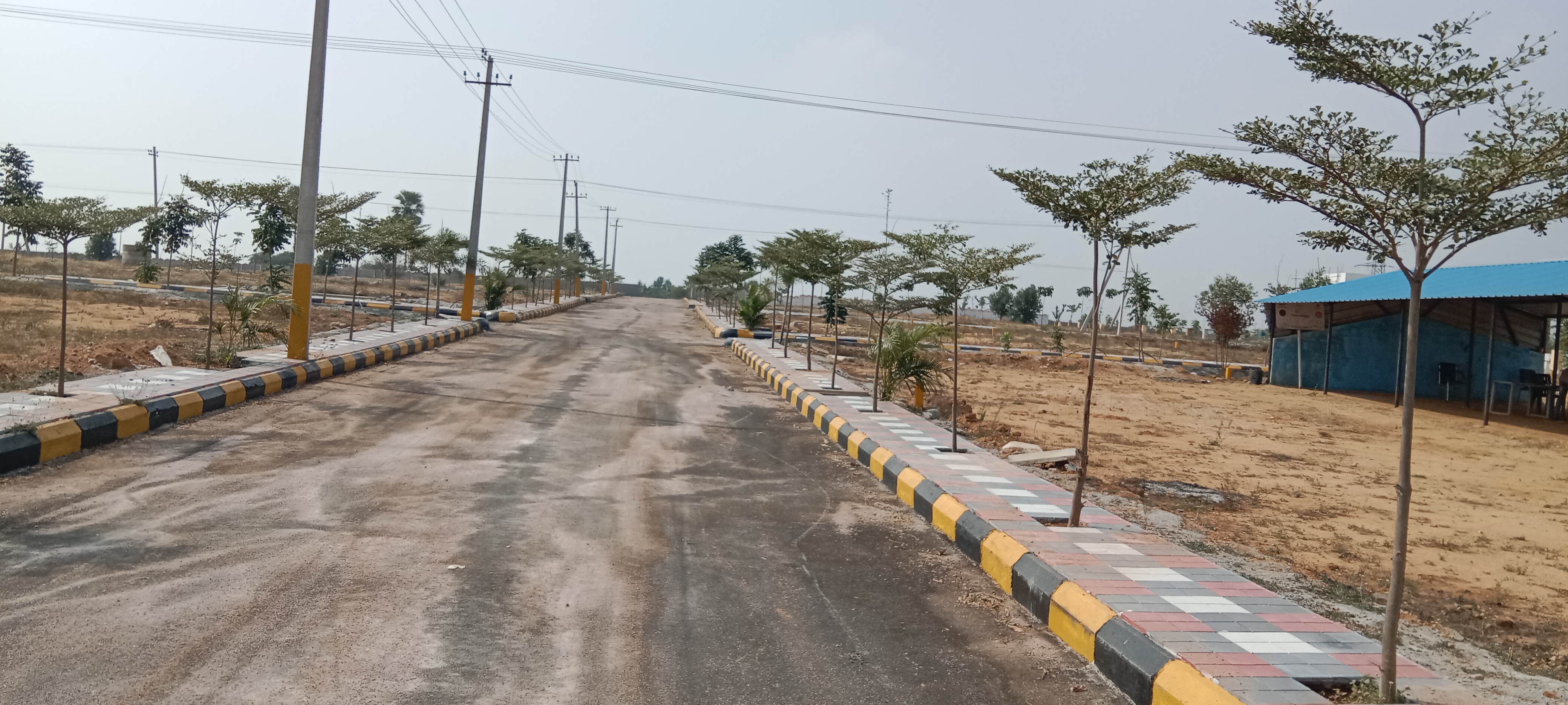  Plot For Resale in Gaddi Annaram Hyderabad 6574371