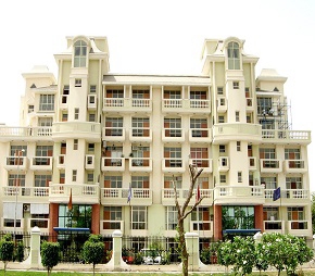 3.5 BHK Apartment For Resale in Parsvnath Green Ville Sector 48 Gurgaon  6574435