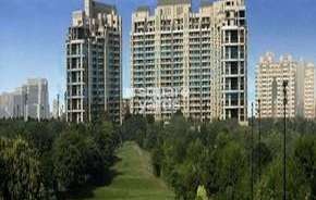 3 BHK Apartment For Rent in DLF Regency Park II Sector 27 Gurgaon 6574977