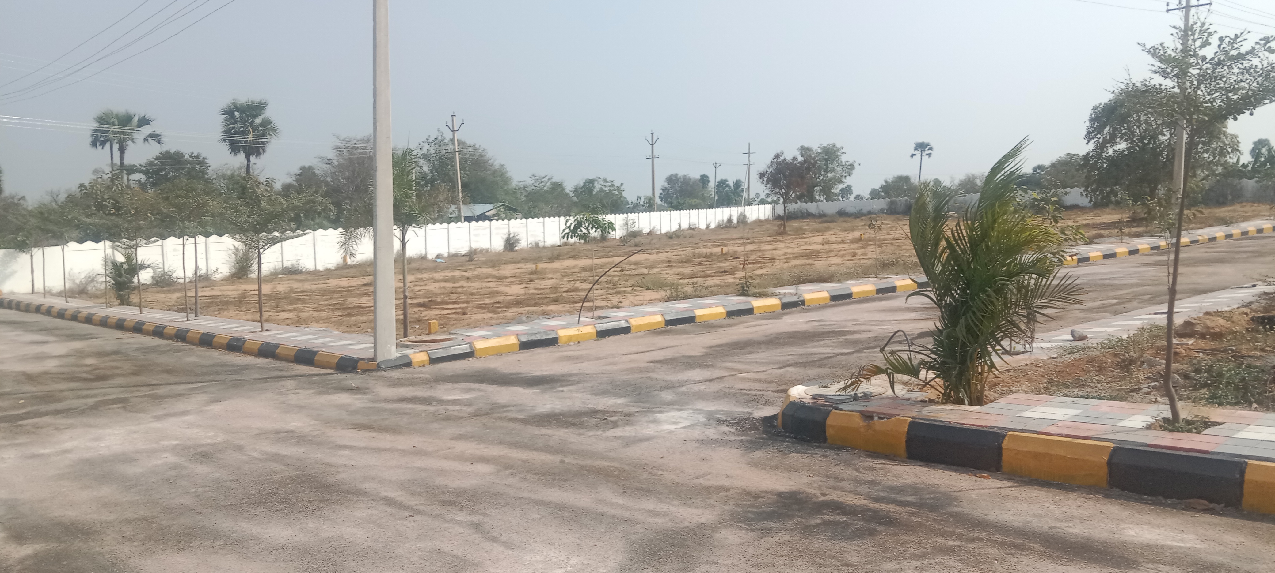 Plot For Resale in Adarsh Nagar Hyderabad  6575118