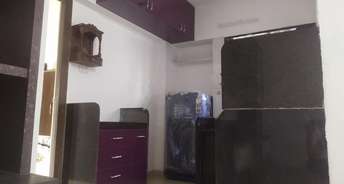 1 BHK Apartment For Rent in Lavender Apartment Kharadi Pune 6575229