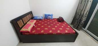 2 BHK Apartment For Rent in Vashi Navi Mumbai  6575427