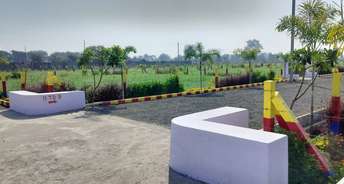  Plot For Resale in Bhopal Sultania Infantry Bhopal 6575709