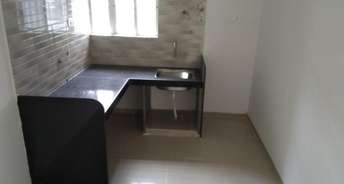 1 BHK Apartment For Rent in Shyama Rainbow Vissta Ravet Pune 6576153