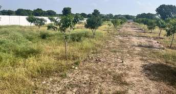  Plot For Resale in Moinabad Hyderabad 6576324