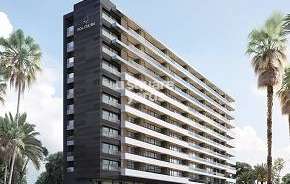 2 BHK Apartment For Resale in Solitaire Premier Tower Bibwewadi Pune 6571312