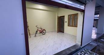 Commercial Shop 170 Sq.Ft. For Rent In Sahastradhara Road Dehradun 6576840