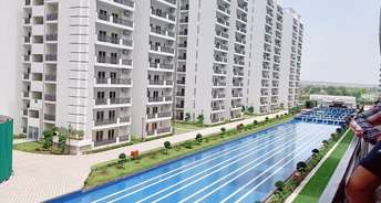 3 BHK Builder Floor For Rent in Central Park Lake Front Towers Sohna Sector 33 Gurgaon 6576933