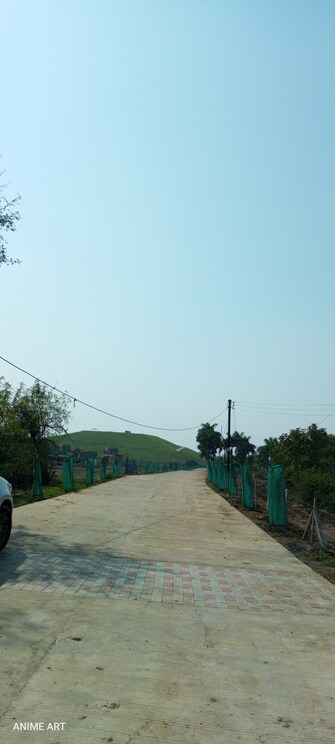 Plot For Resale in Ayodhya Bypass Road Bhopal  6577079