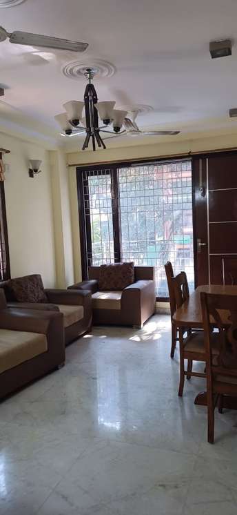 3 BHK Builder Floor For Rent in Chittaranjan Park Delhi 6577113