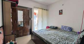 1 BHK Apartment For Rent in Mantra Insignia Mundhwa Pune 6577357