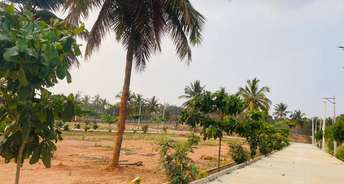  Plot For Resale in Bagalur rd Bangalore 6577380