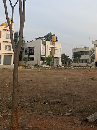 Plot For Resale in Sai Prasanthi Homes Jigani Bangalore  6577765