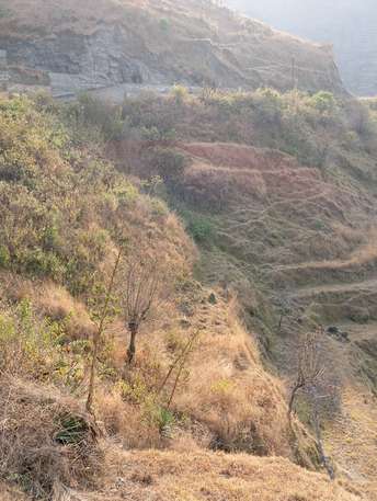 Commercial Land 16800 Sq.Ft. For Resale in Mussoorie Dehradun  6577744