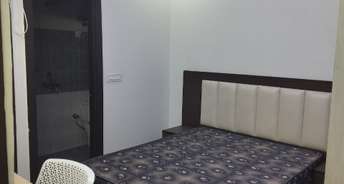 3 BHK Apartment For Rent in Sector 15 Gurgaon 6578272