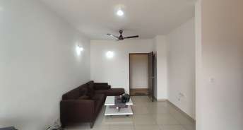 2 BHK Apartment For Rent in Sobha Dream Acres Panathur Bangalore 6578651