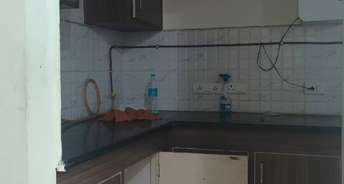 2 BHK Apartment For Rent in Galaxy North Avenue ll Noida Ext Sector 16c Greater Noida 6578948