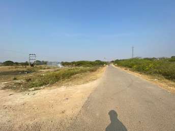  Plot For Resale in Amangal Hyderabad 6579137