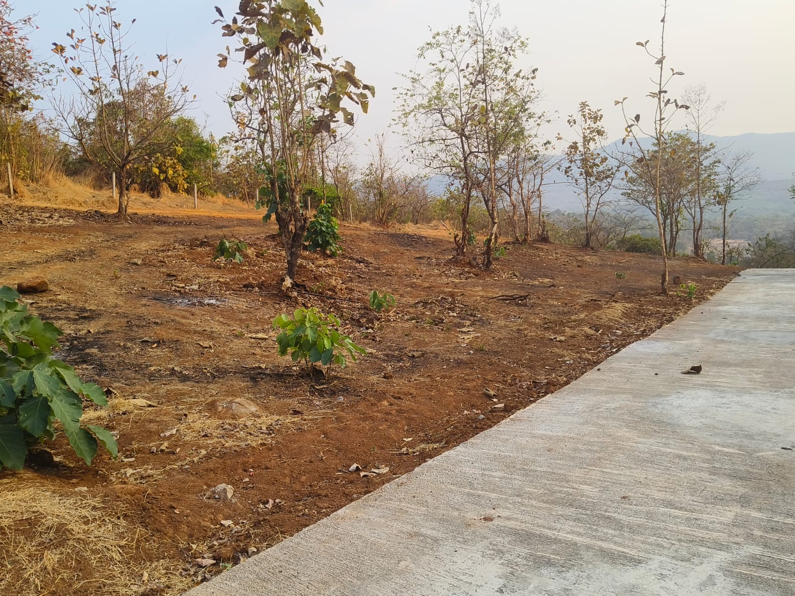 Plot For Resale in Mangaon Raigad  6579161