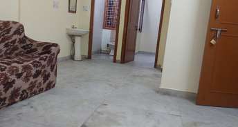 1.5 BHK Builder Floor For Rent in Home  7 Mayur Vihar 1 Delhi 6579241