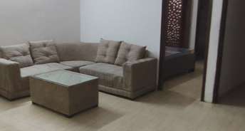 3 BHK Builder Floor For Rent in RWA Khirki Extension Block R Malviya Nagar Delhi 6579591