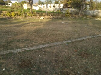 Plot For Resale in Kaonli Dehradun  6579963