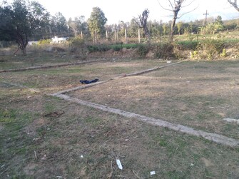 Plot For Resale in Kaonli Dehradun  6579963