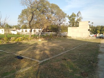 Plot For Resale in Kaonli Dehradun  6579963