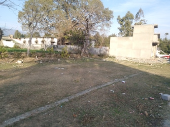 Plot For Resale in Kaonli Dehradun  6579963