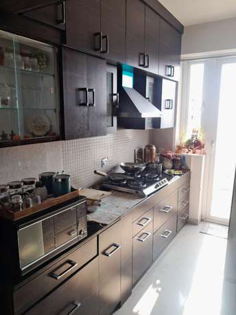 2.5 BHK Apartment For Rent in Corona Optus Sector 37c Gurgaon 6580581