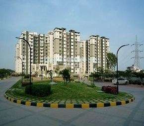 3 BHK Apartment For Rent in Sobha Daffodil Hsr Layout Bangalore 6580787