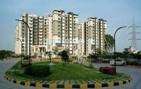3 BHK Apartment For Rent in Sobha Daffodil Hsr Layout Bangalore 6580787