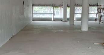 Commercial Showroom 1250 Sq.Ft. For Rent In Sector 17 Chandigarh 6581083