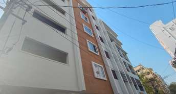 3 BHK Apartment For Rent in Stand Alone Apartment Madhapur Hyderabad 6581285