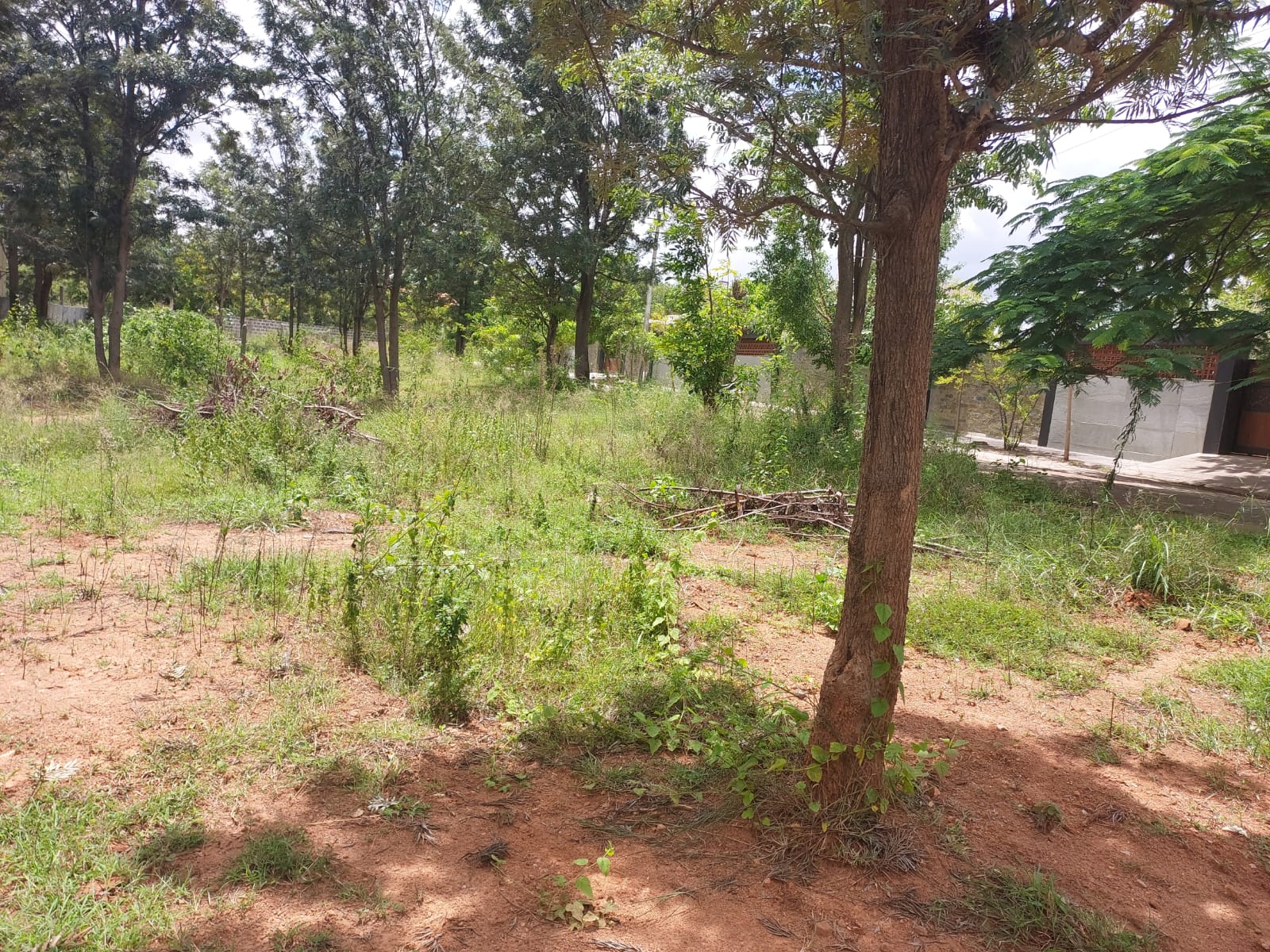 1784+ Property for Sale Near Ahilyadevi Holkar Marathi School, Old