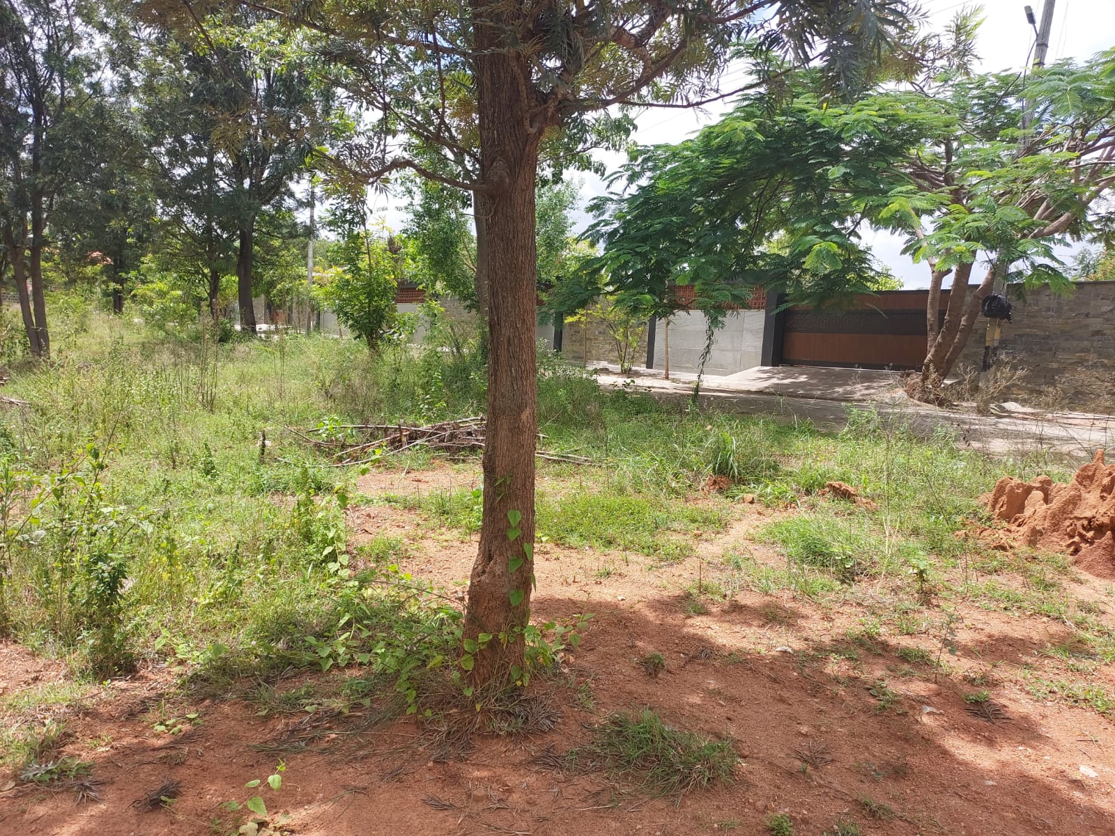 1784+ Property for Sale Near Ahilyadevi Holkar Marathi School, Old