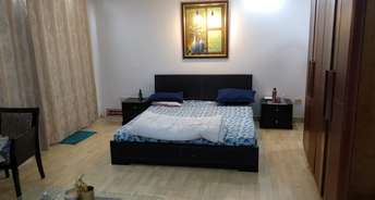 1 BHK Builder Floor For Rent in Kailash Hills Delhi 6582274