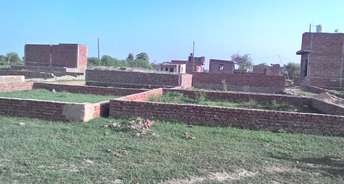  Plot For Resale in Ismailpur Faridabad 6583292