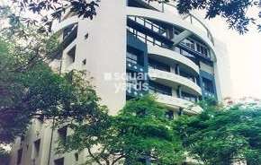 3 BHK Apartment For Rent in Kalpataru Nakshatra Bandra West Mumbai 6583645