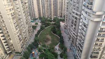 2 BHK Apartment For Rent in Aims Golf Avenue II Sector 75 Noida 6584622