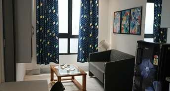 1 BHK Apartment For Rent in Sector 30 Gurgaon 6585048