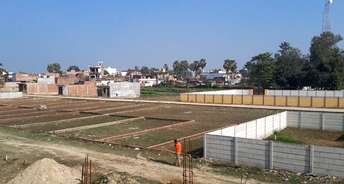  Plot For Resale in Banthra Sikander Pur Lucknow 6586263