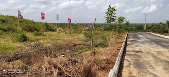 Plot For Resale in Yadagirigutta Hyderabad  6586339