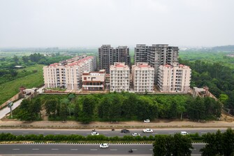 रेजिडेंशियल फ्लैट वर्ग फुट फॉर रीसेल इन चंडीगढ़ अंबाला हाईवे ज़िराकपुर  6587059